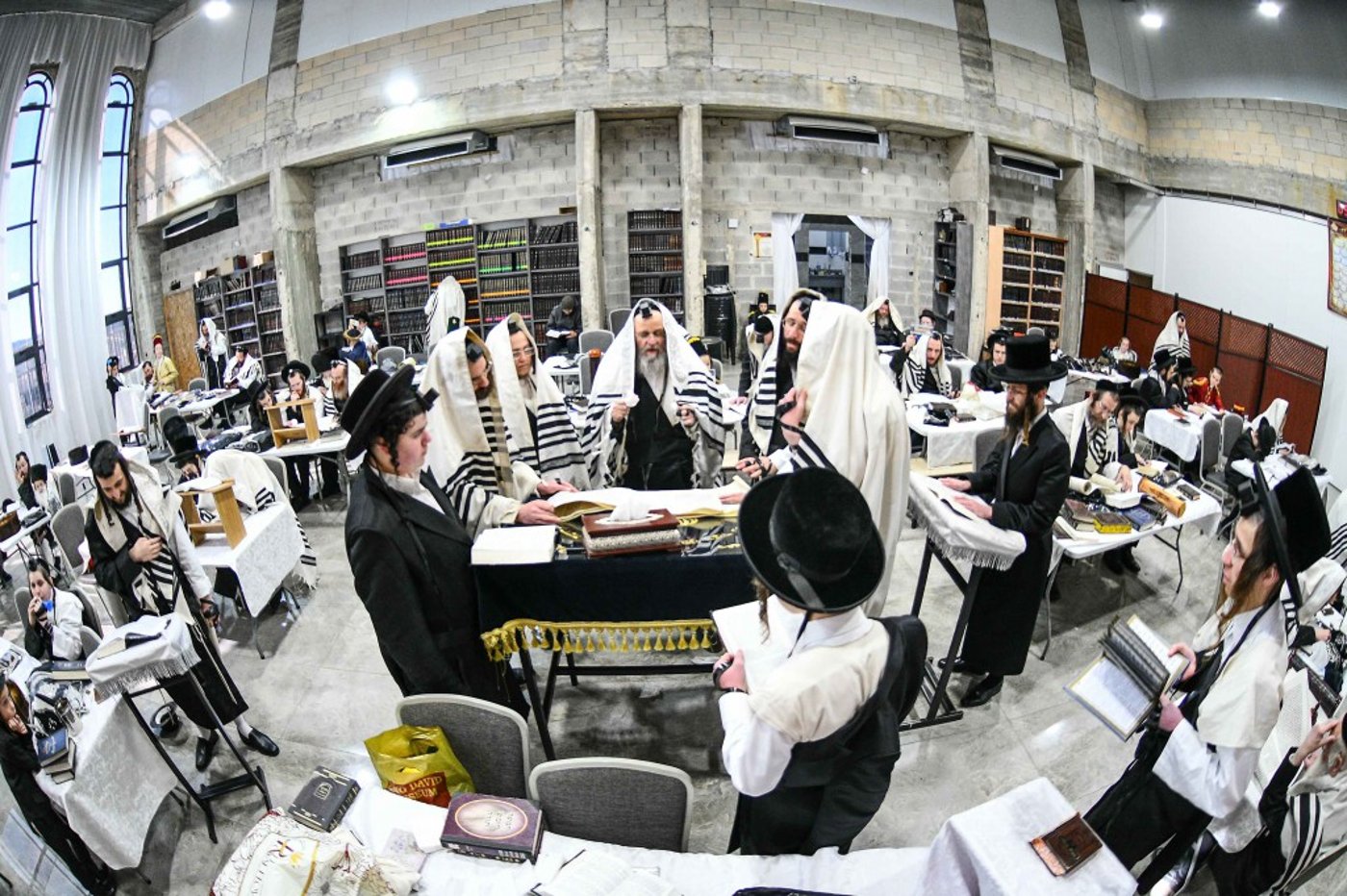 האדמו"ר מדינוב בקריאת המגילה