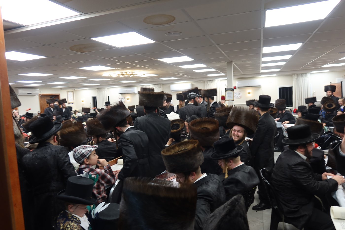 פורים בחצה"ק זוועהיל