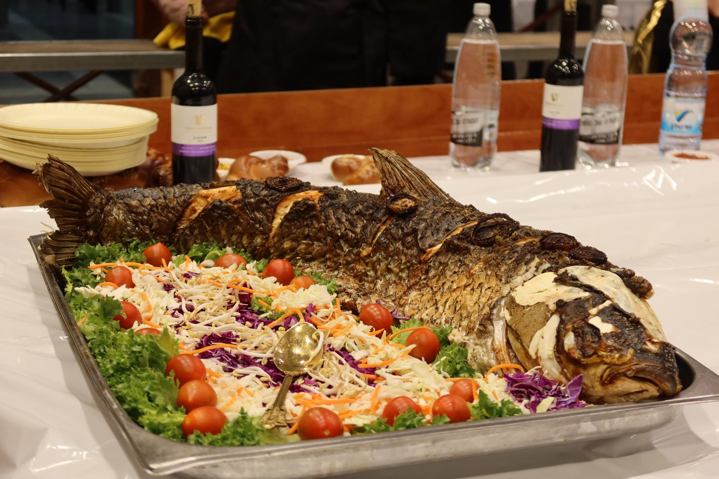 פורים בחצה"ק זוועהיל