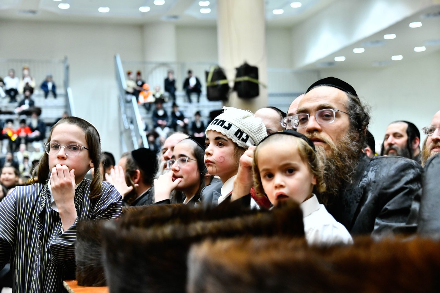 פורים בחצה"ק ויז'ניץ