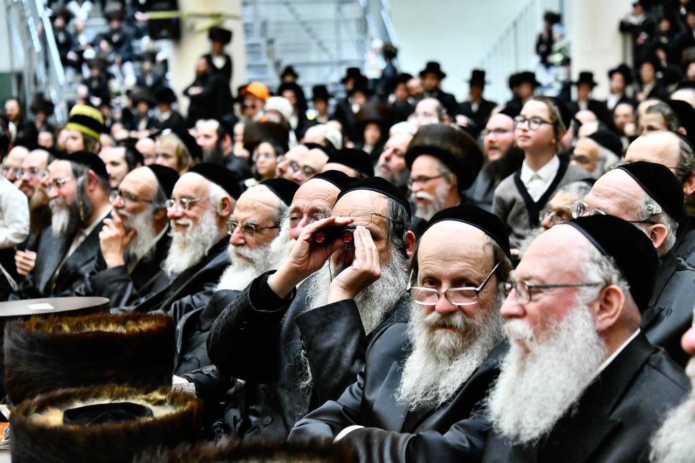 פורים בחצה"ק ויז'ניץ