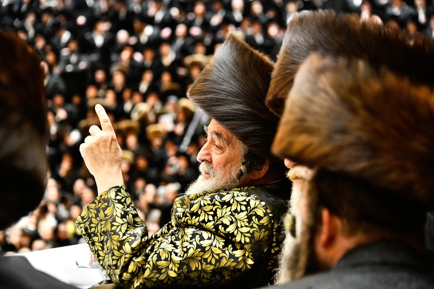 פורים בחצה"ק ויז'ניץ