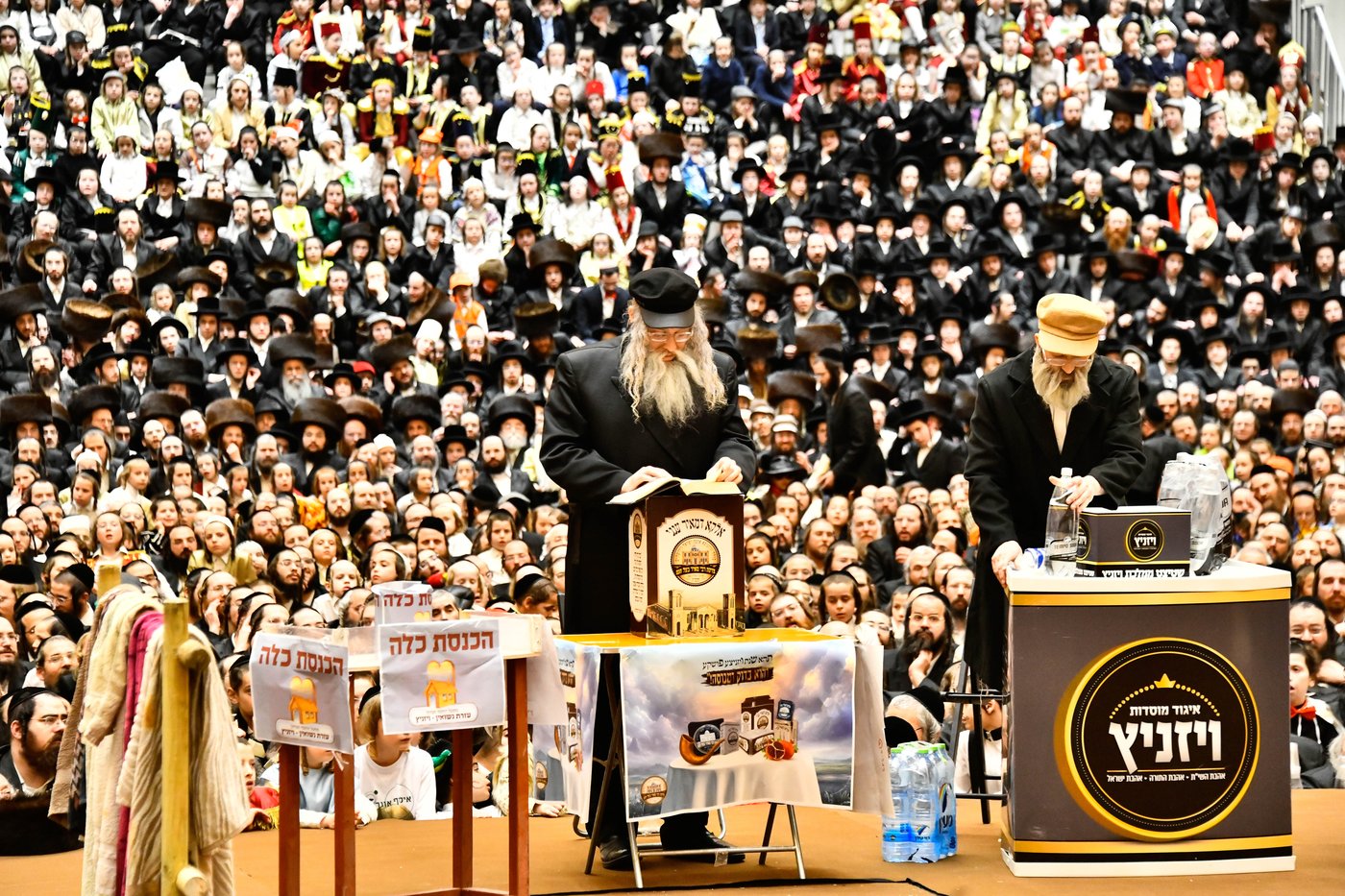 פורים בחצה"ק ויז'ניץ