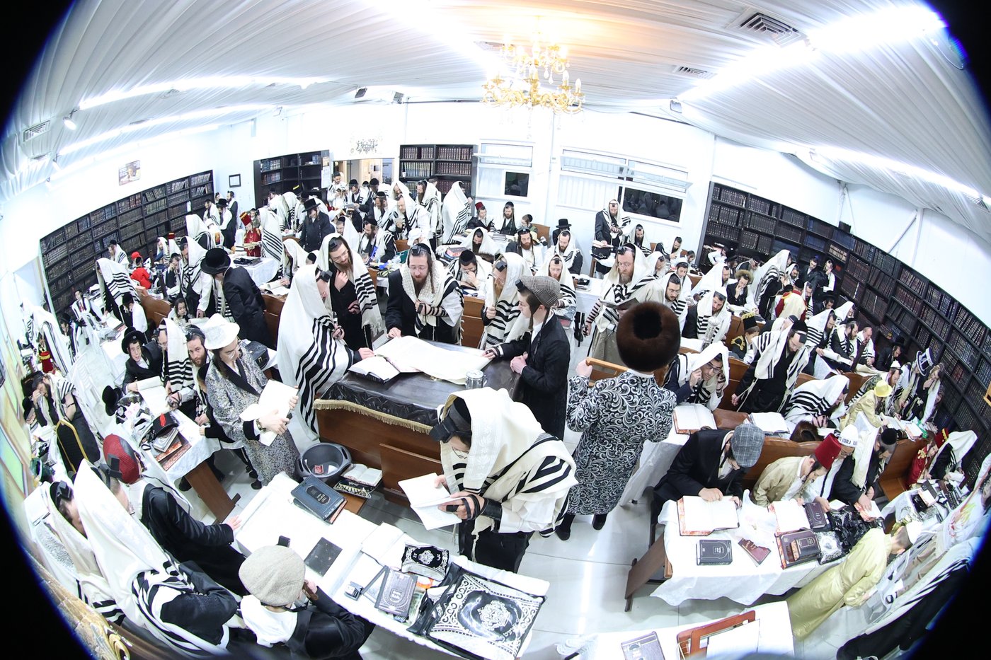 פורים בחצה"ק ספינקא בית שמש