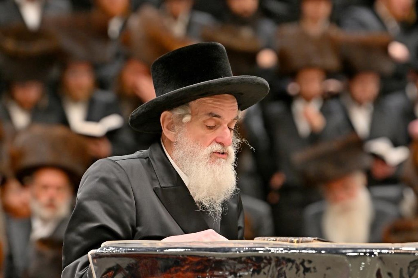 פורים בחצה"ק ויזניץ