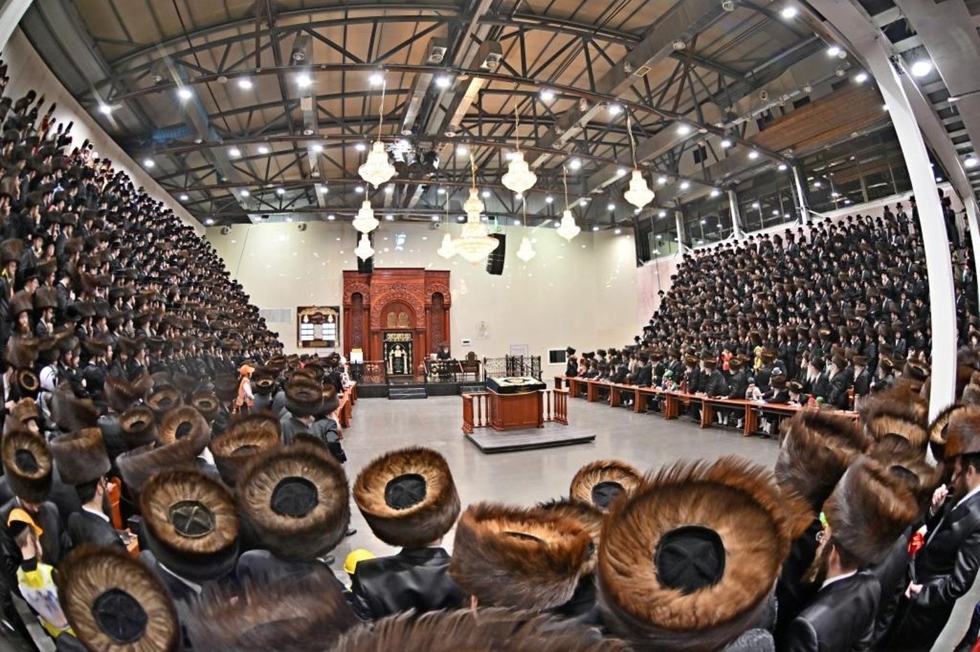 פורים בחצה"ק ויזניץ