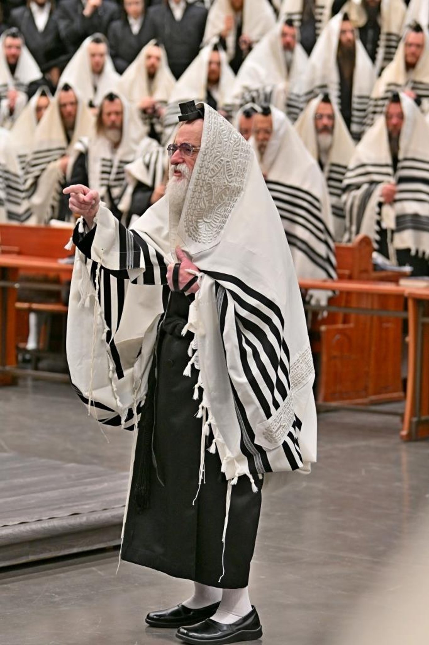 פורים בחצה"ק ויזניץ