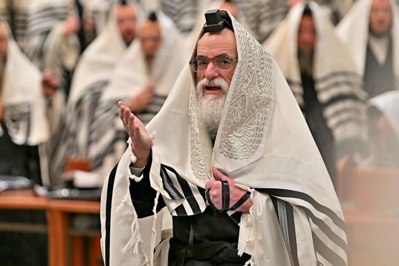 פורים בחצה"ק ויזניץ