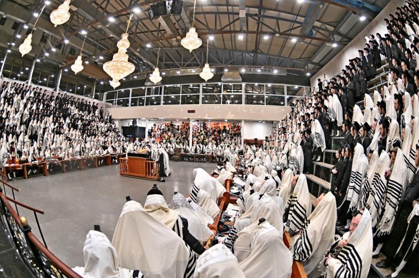 פורים בחצה"ק ויזניץ