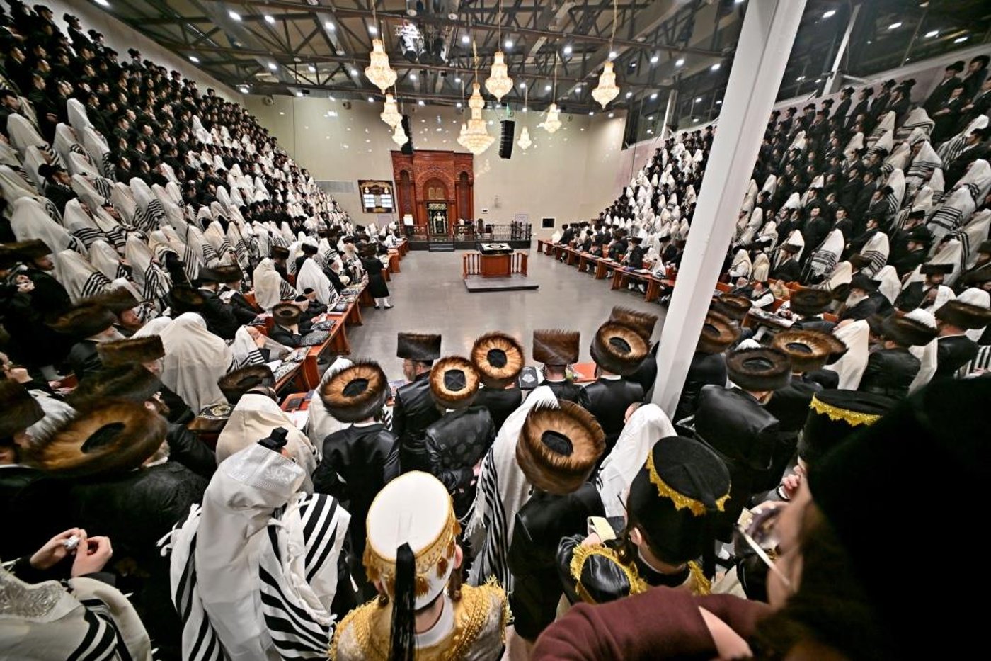 פורים בחצה"ק ויזניץ