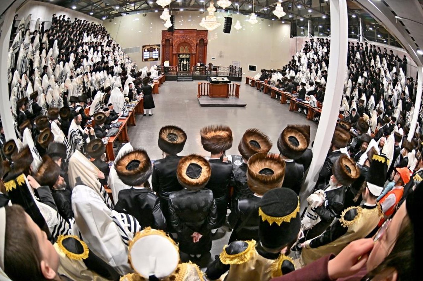 פורים בחצה"ק ויזניץ