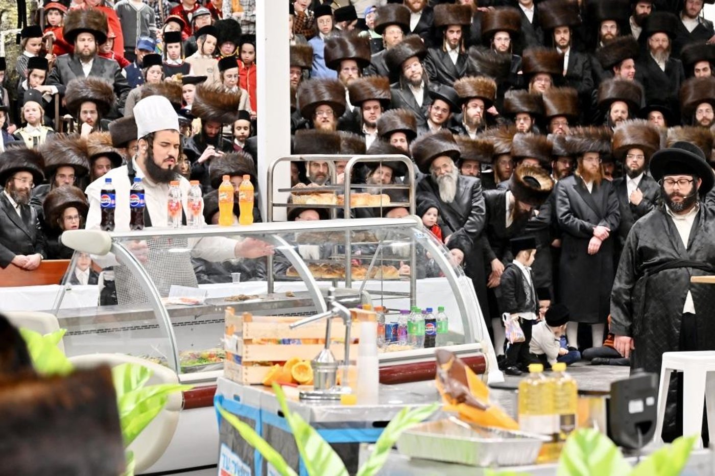 פורים בחצה"ק ויזניץ