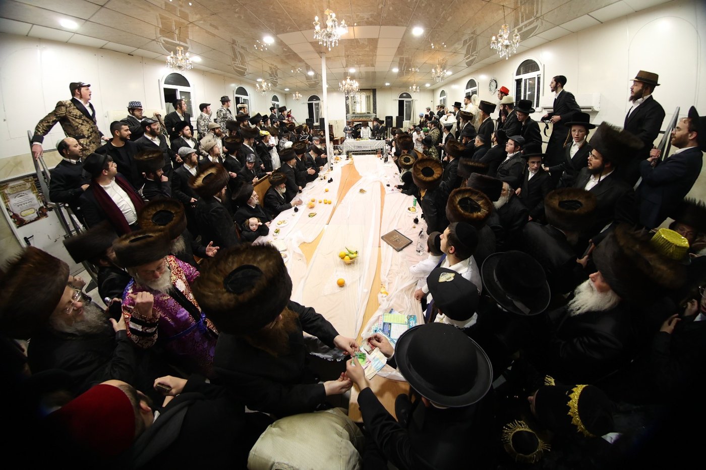 פורים בחצה"ק ביאלה ב"ב