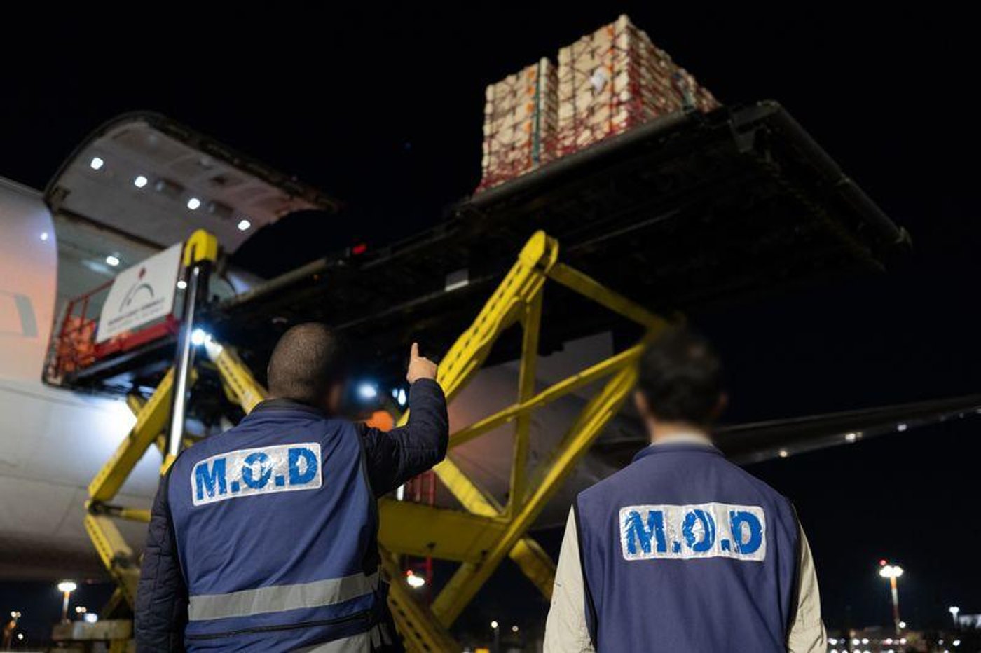 המטוסים שנחתו בישראל