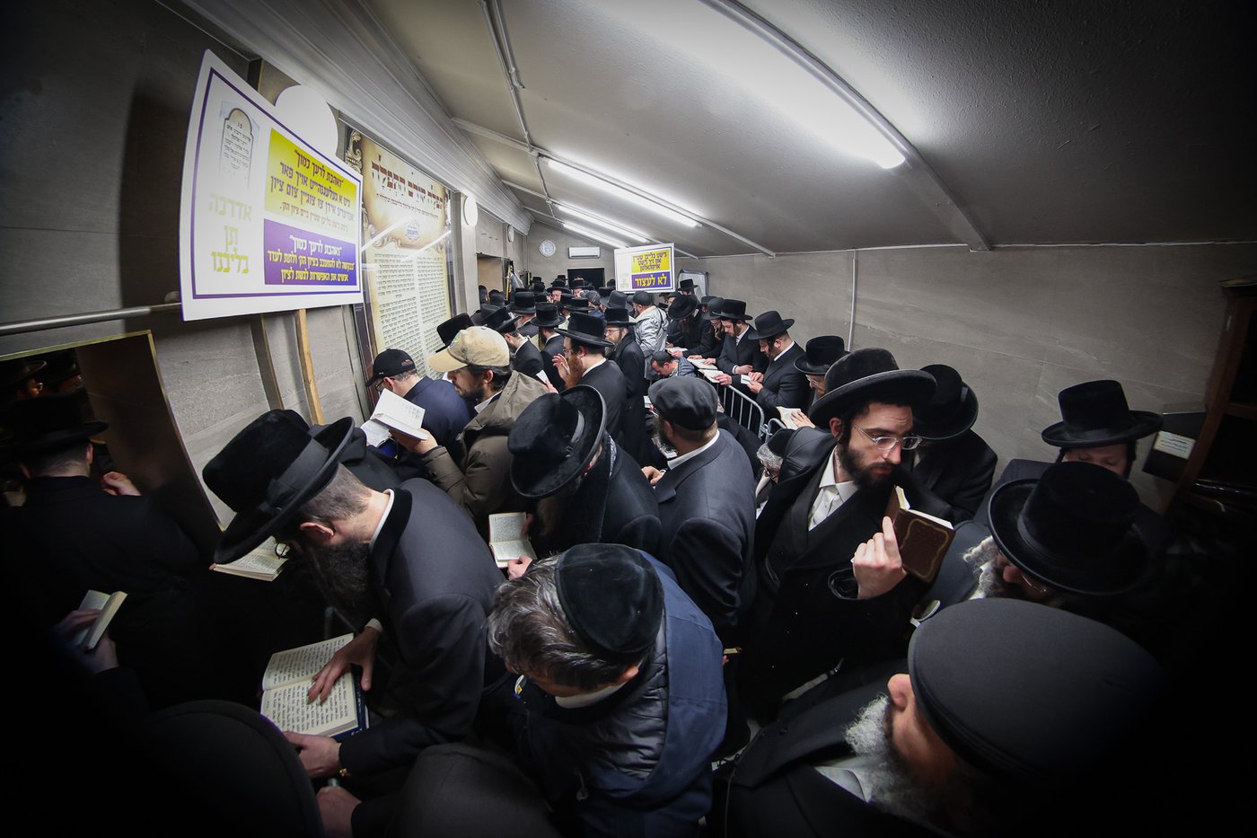 הילולא קדישא בליזענסק - תשפ"ו