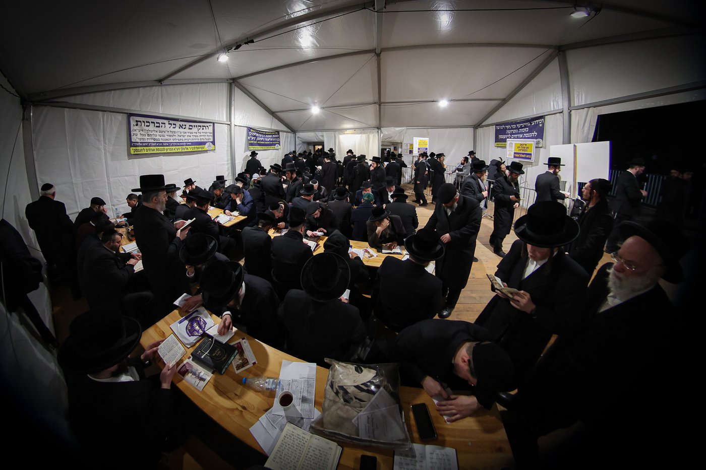 הילולא קדישא בליזענסק - תשפ"ו