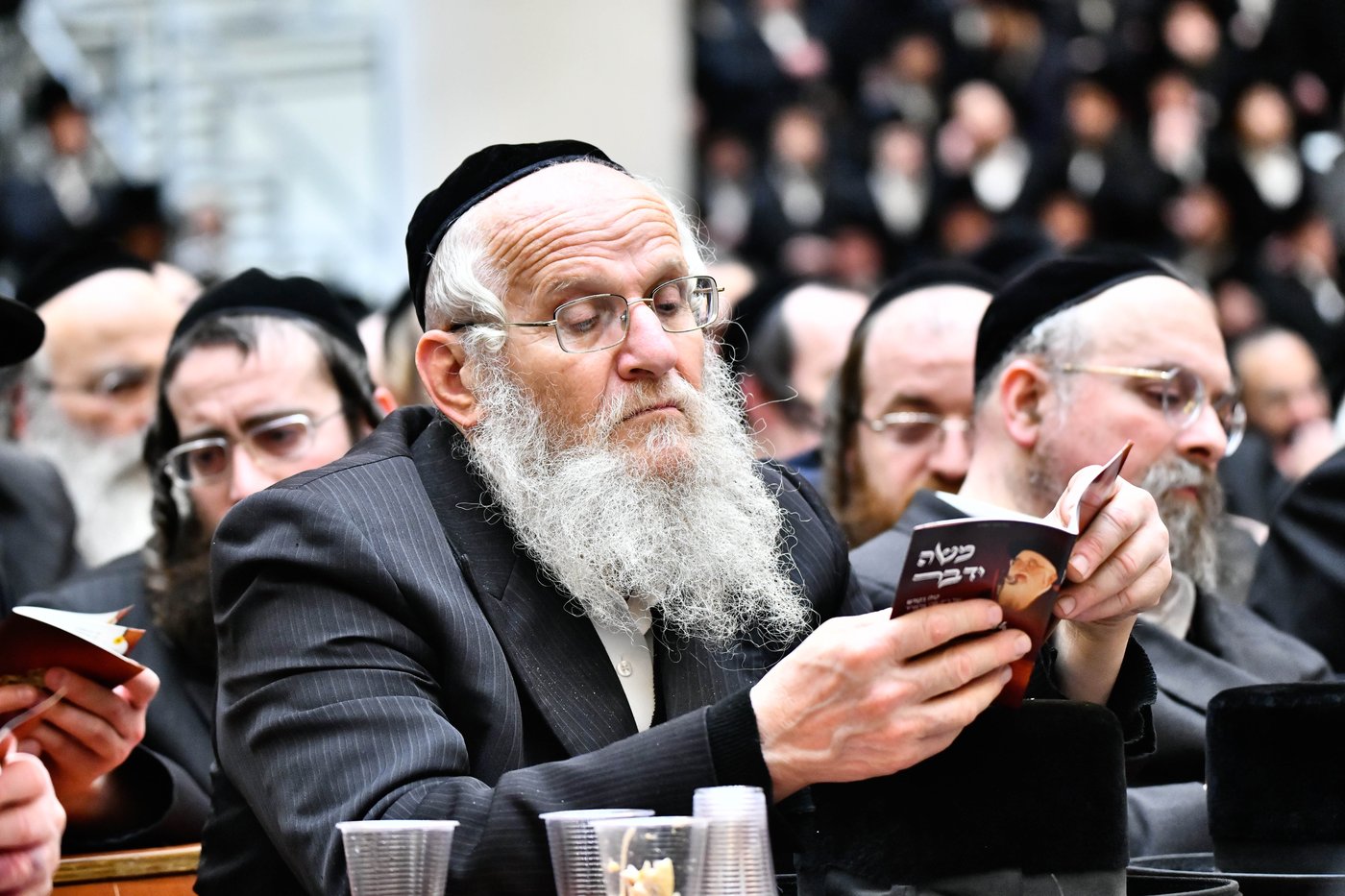 הילולא קדישא בויז'ניץ