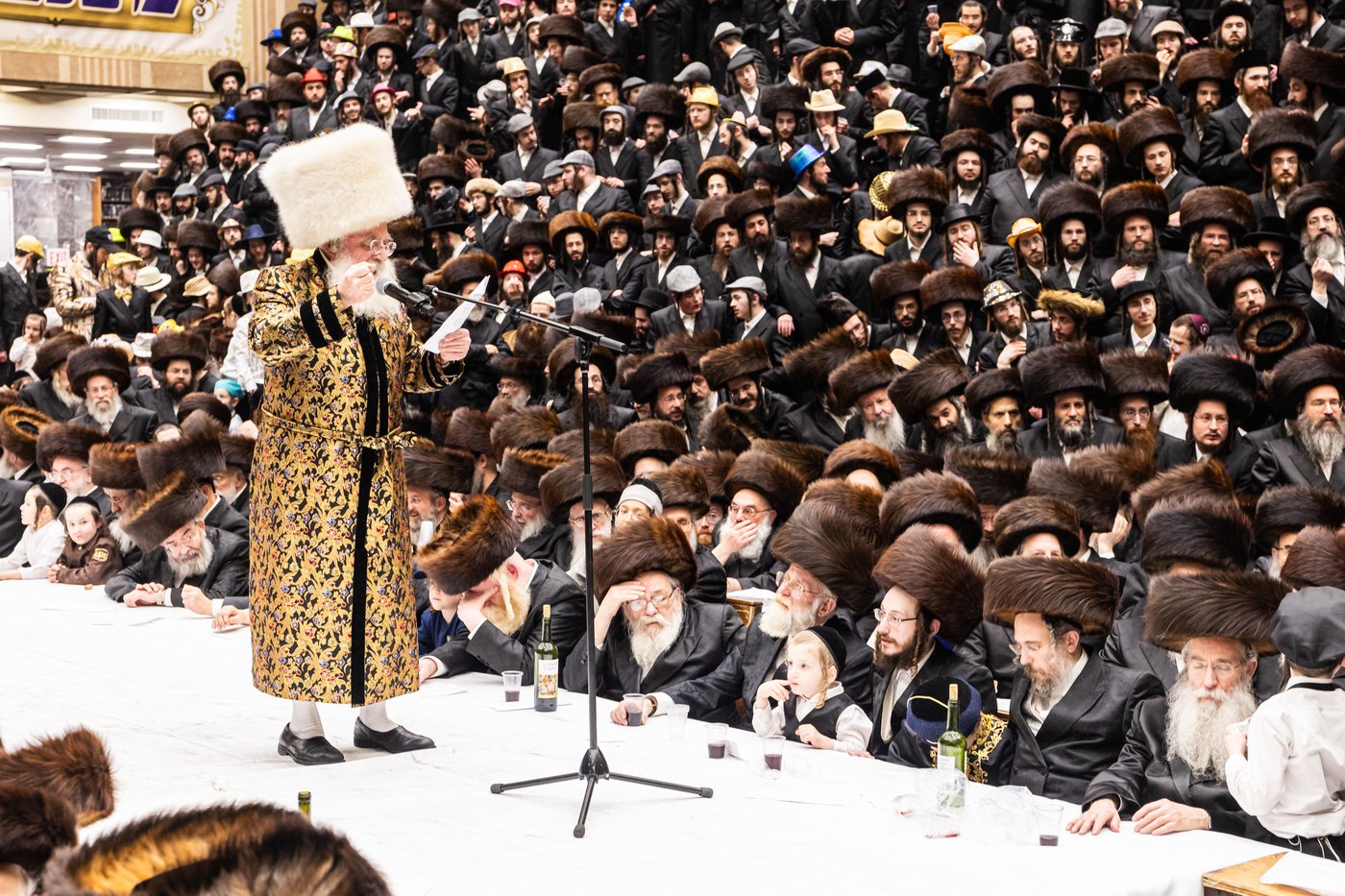 פורים בחצה"ק באבוב