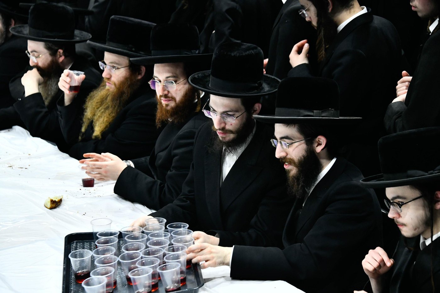 הילולא קדישא באלכסנדר