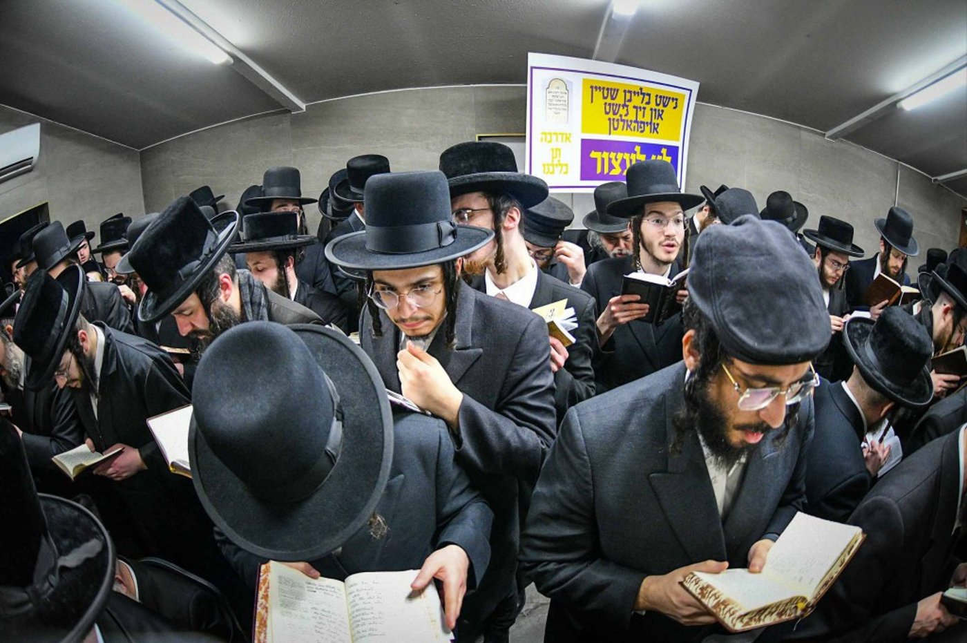 מראות ההילולא קדישא בליזענסק - אדר תשפ"ו