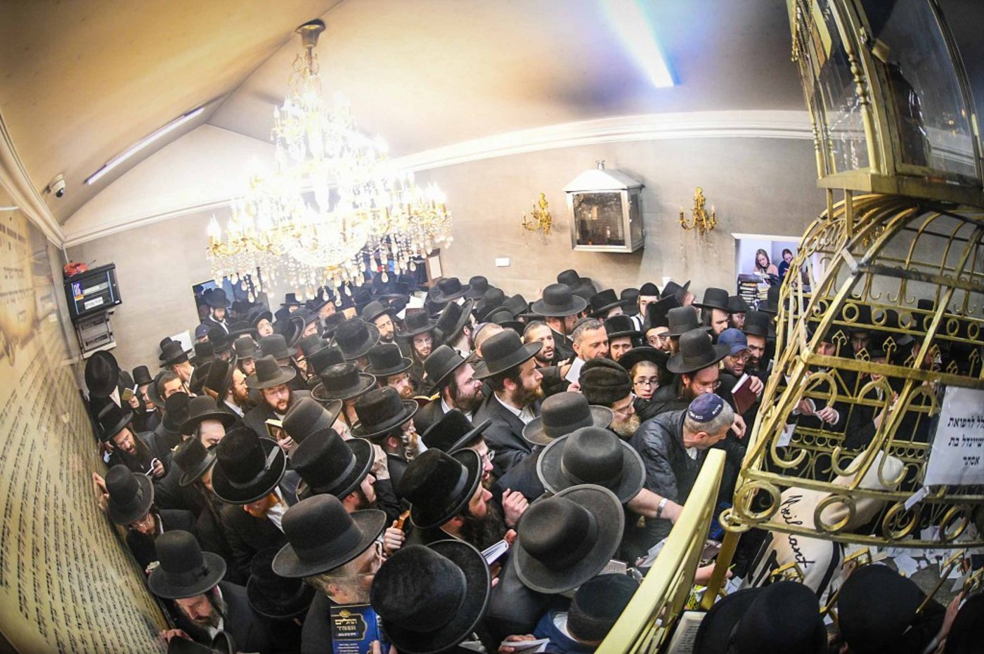 מראות ההילולא קדישא בליזענסק - אדר תשפ"ו