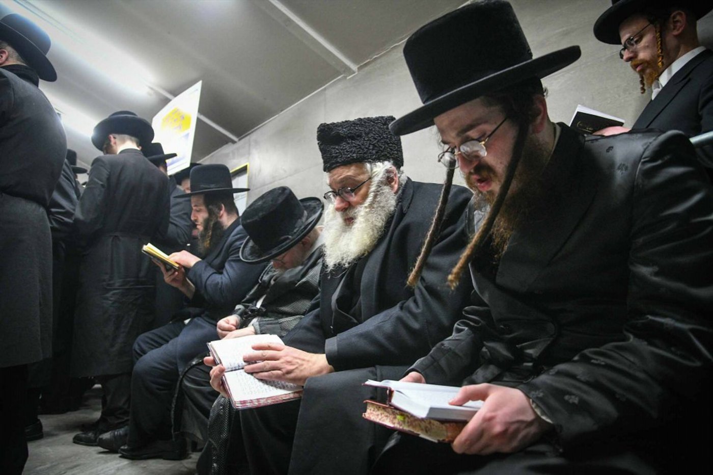 מראות ההילולא קדישא בליזענסק - אדר תשפ"ו