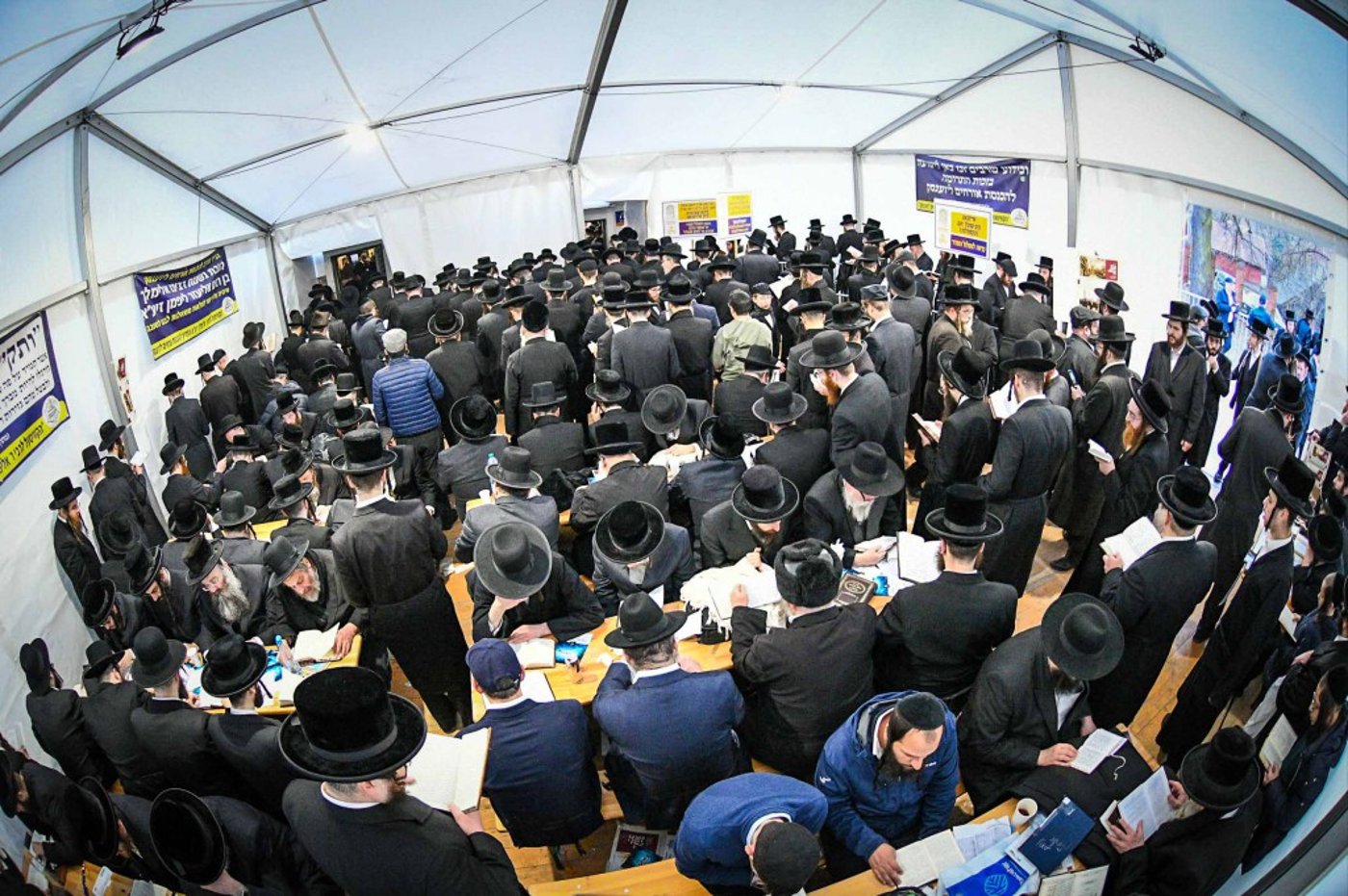 מראות ההילולא קדישא בליזענסק - אדר תשפ"ו