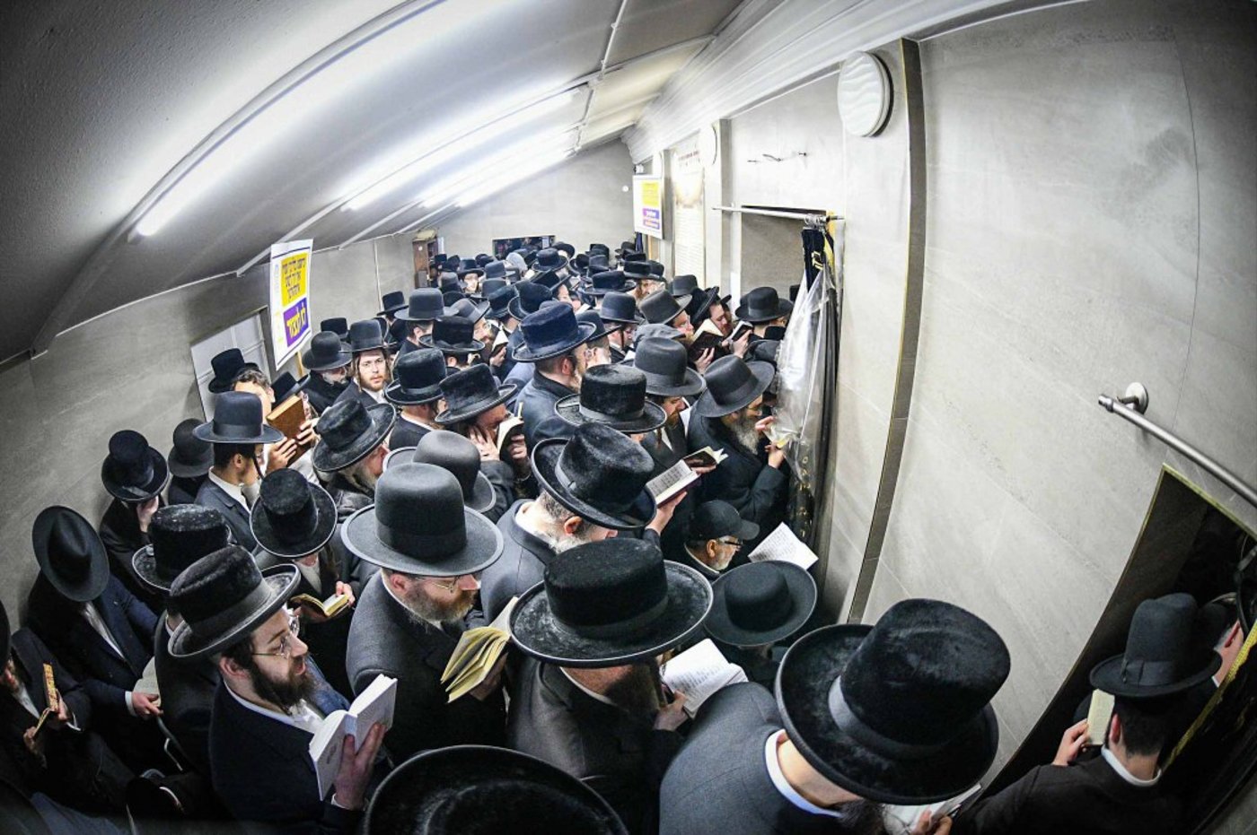 מראות ההילולא קדישא בליזענסק - אדר תשפ"ו