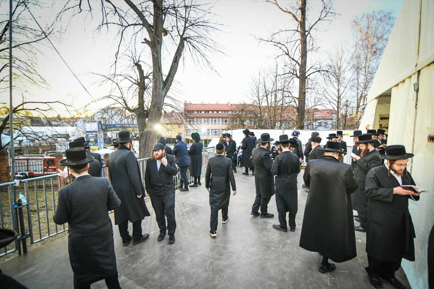 מראות ההילולא קדישא בליזענסק - אדר תשפ"ו