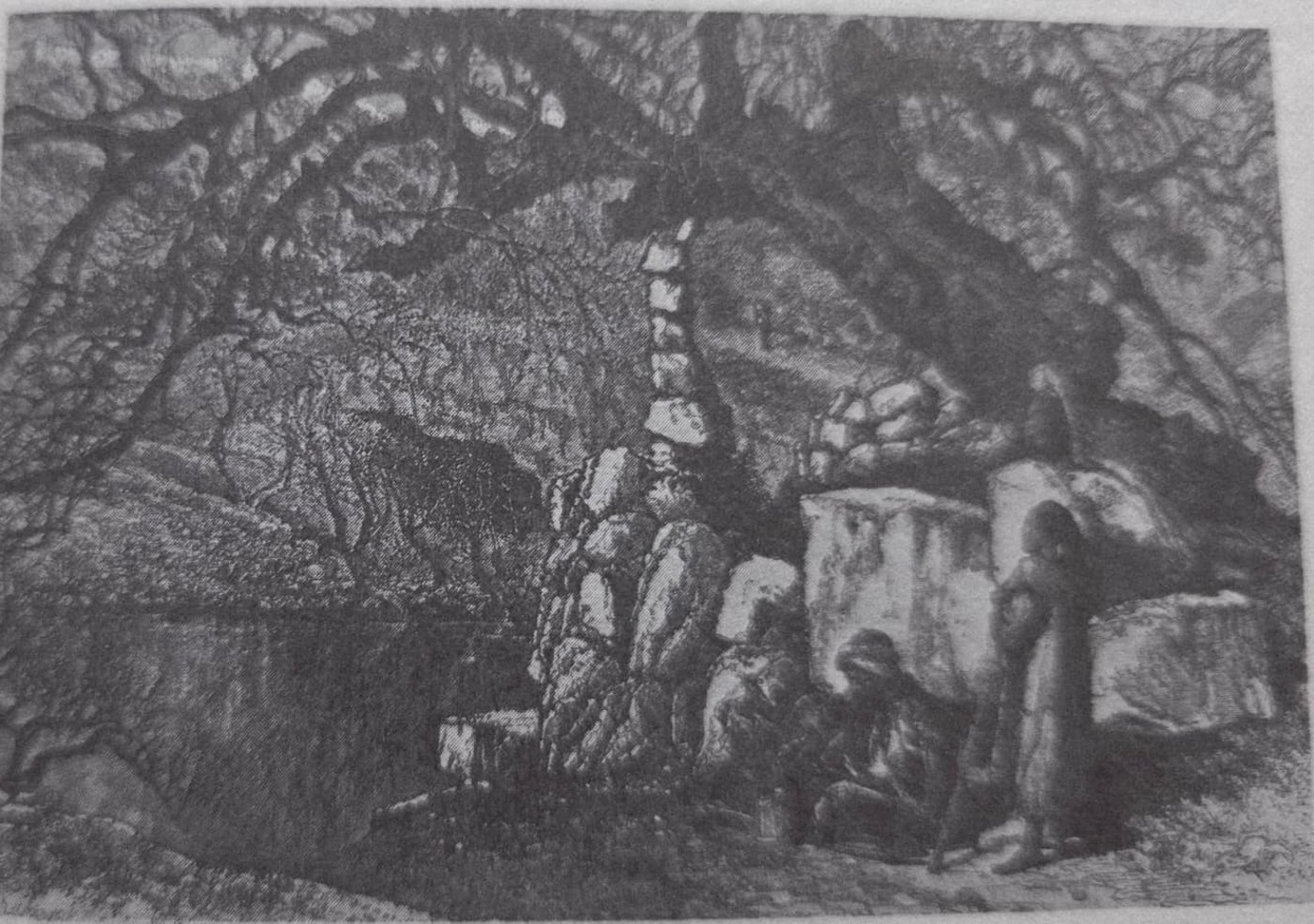 עץ ישעיהו הנביא בירושלים בציור משנת 1880