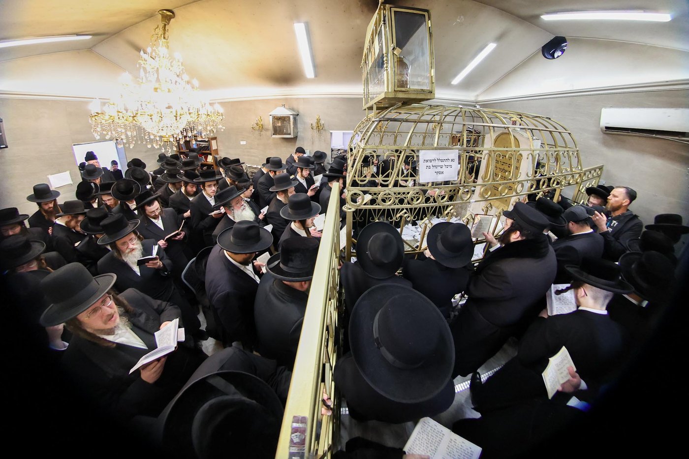 מראות ליז'ענסק תשפ"ו