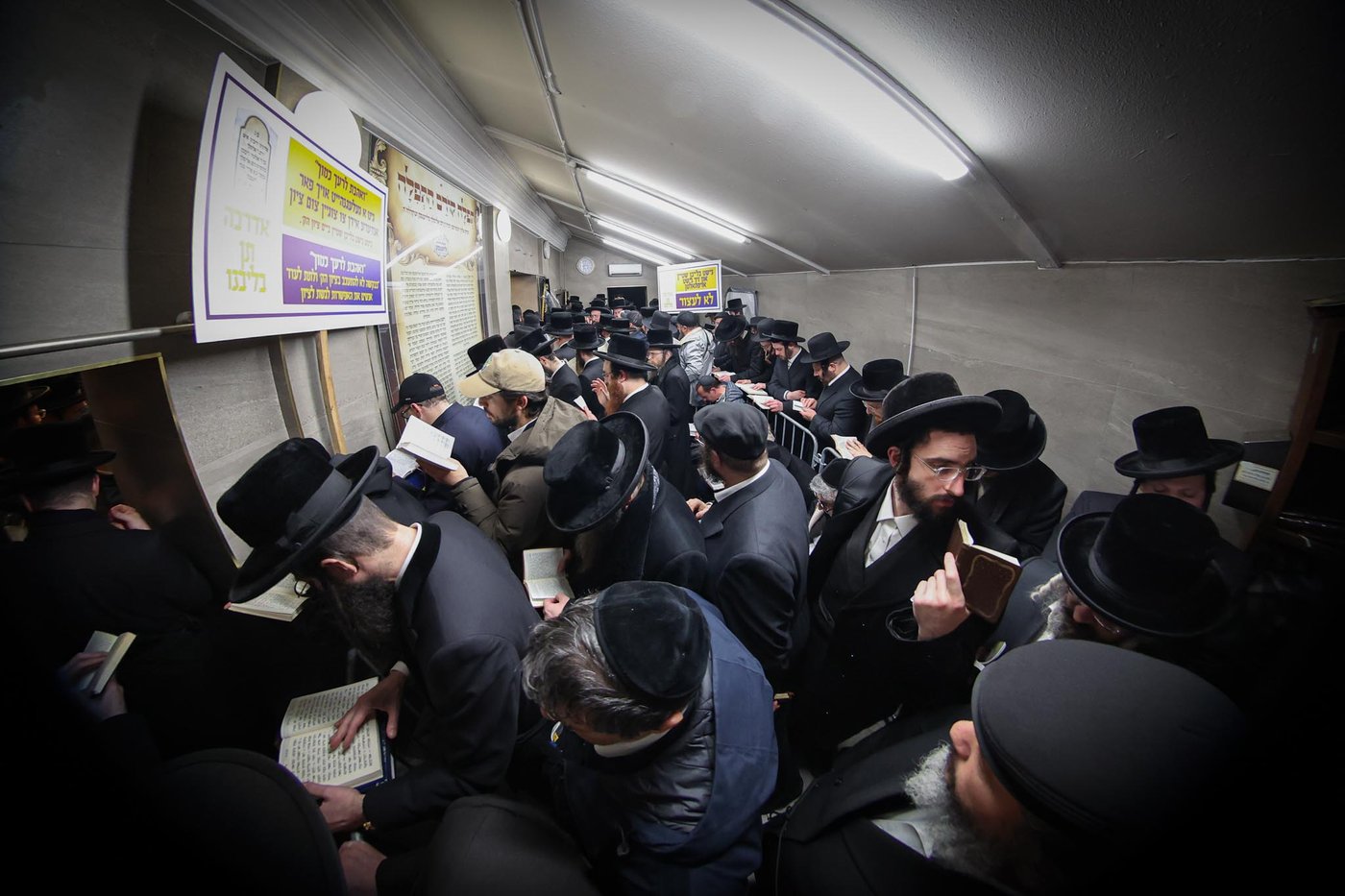 מראות ליז'ענסק תשפ"ו