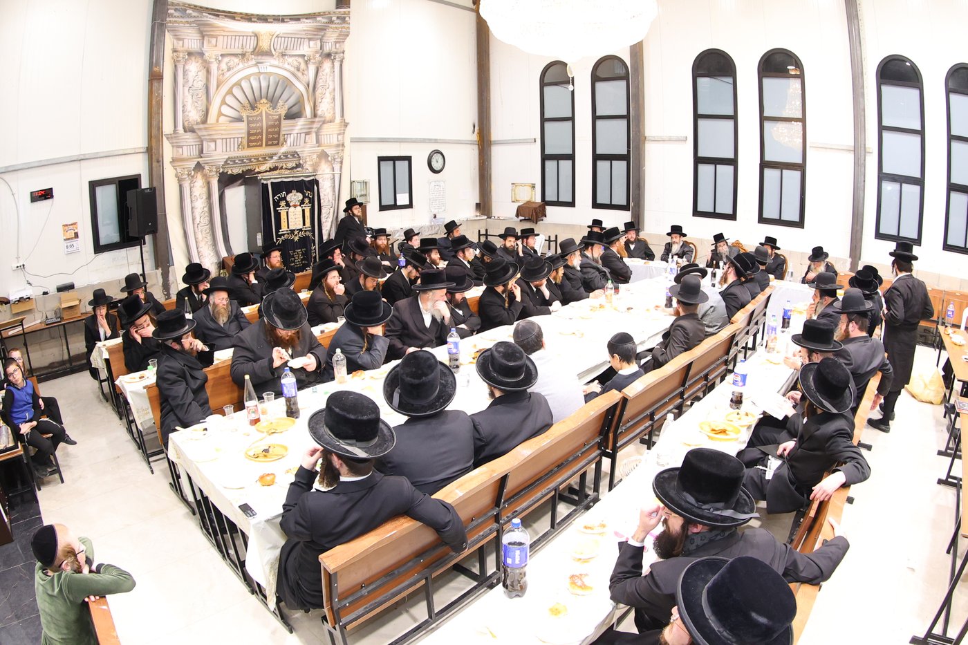 הילולא קדישא בליזענסק בית שמש