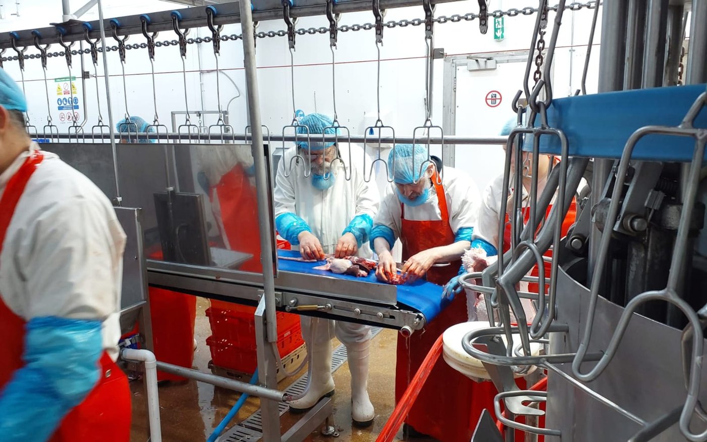 הגה"צ גאב"ד אנטווערפן בביקור בבית השחיטה