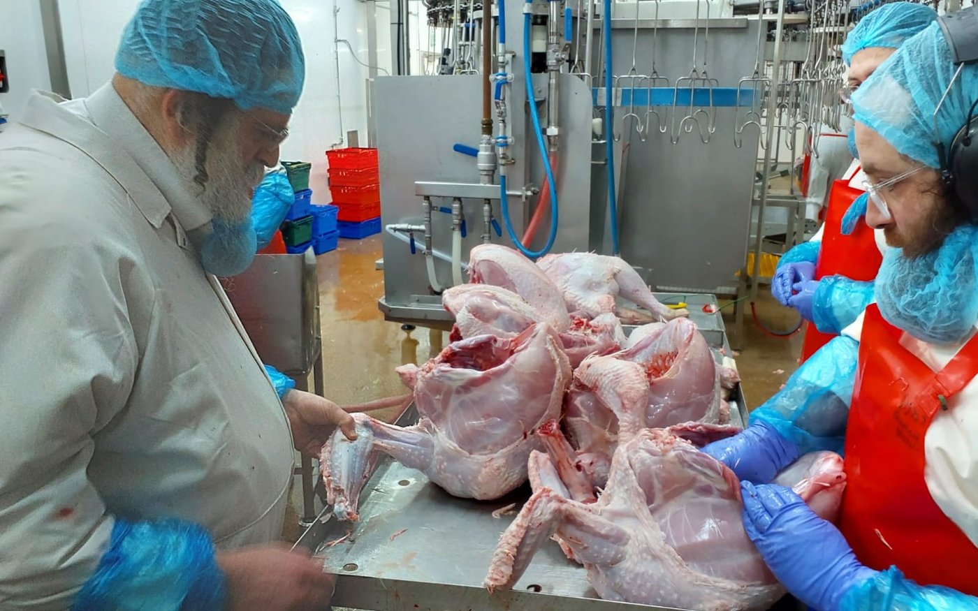 הגה"צ גאב"ד אנטווערפן בביקור בבית השחיטה