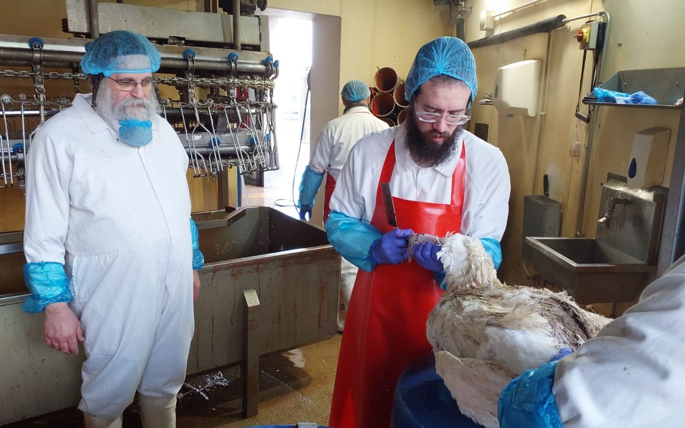 הגה"צ גאב"ד אנטווערפן בביקור בבית השחיטה