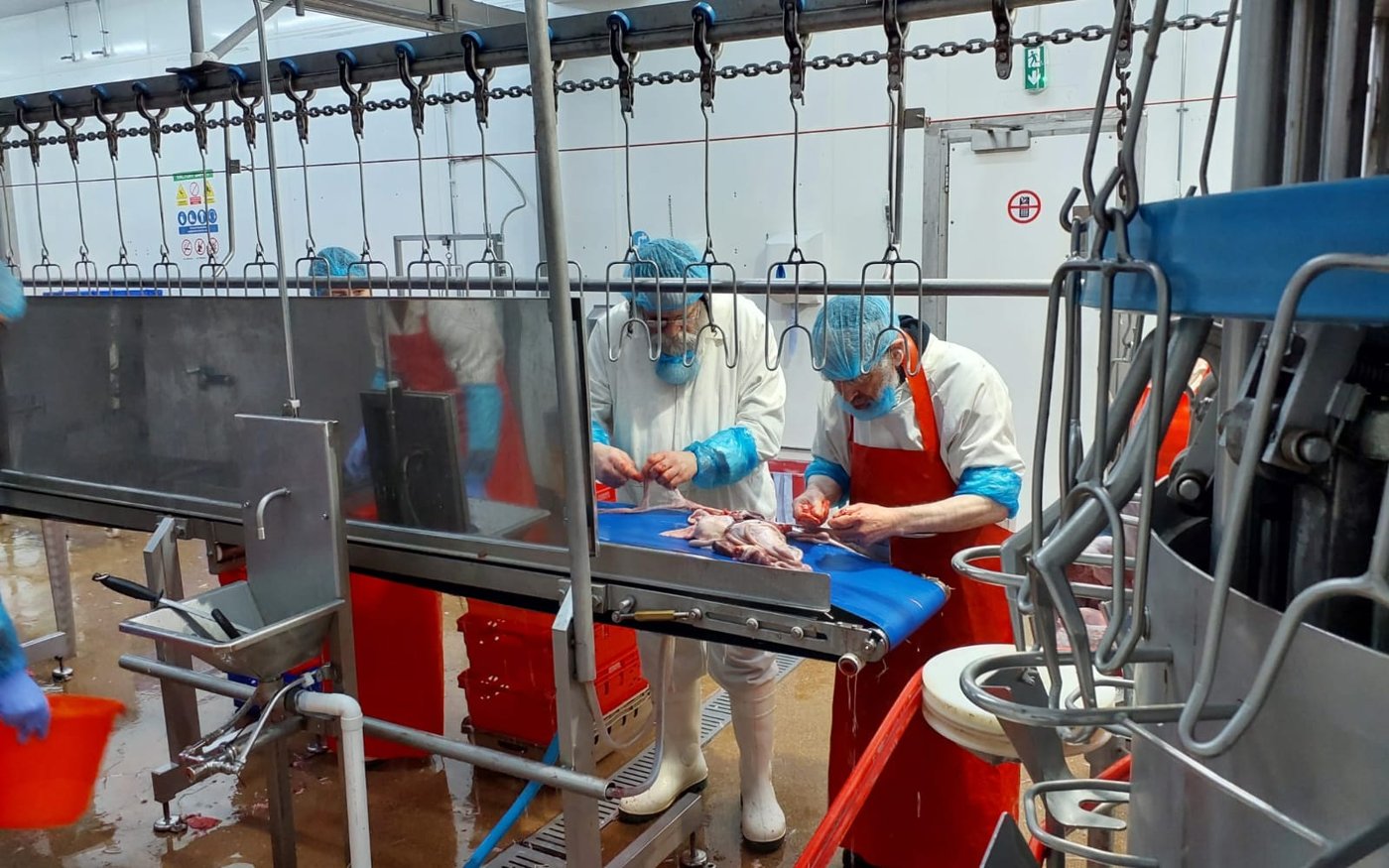 הגה"צ גאב"ד אנטווערפן בביקור בבית השחיטה