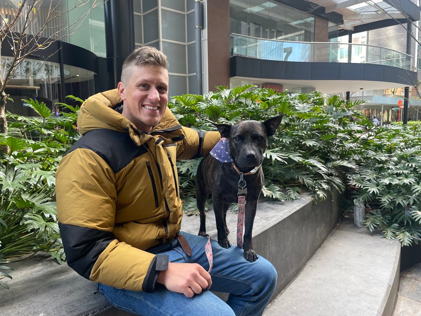 פול קונינגהאם חצד כלבתו רוז אותה הצליח לרפא מהמחלה