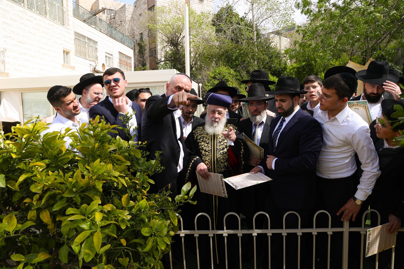 הראשל"צ הגר"י יוסף בברכת האילנות
