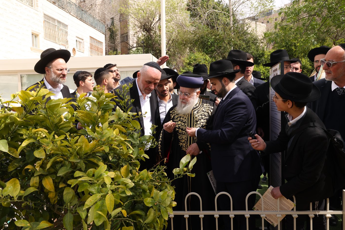 הראשל"צ הגר"י יוסף בברכת האילנות