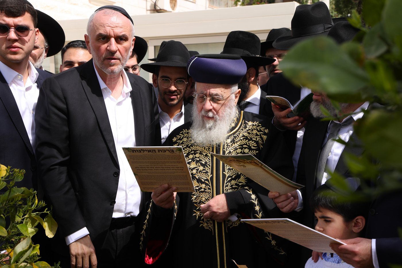 הראשל"צ הגר"י יוסף בברכת האילנות