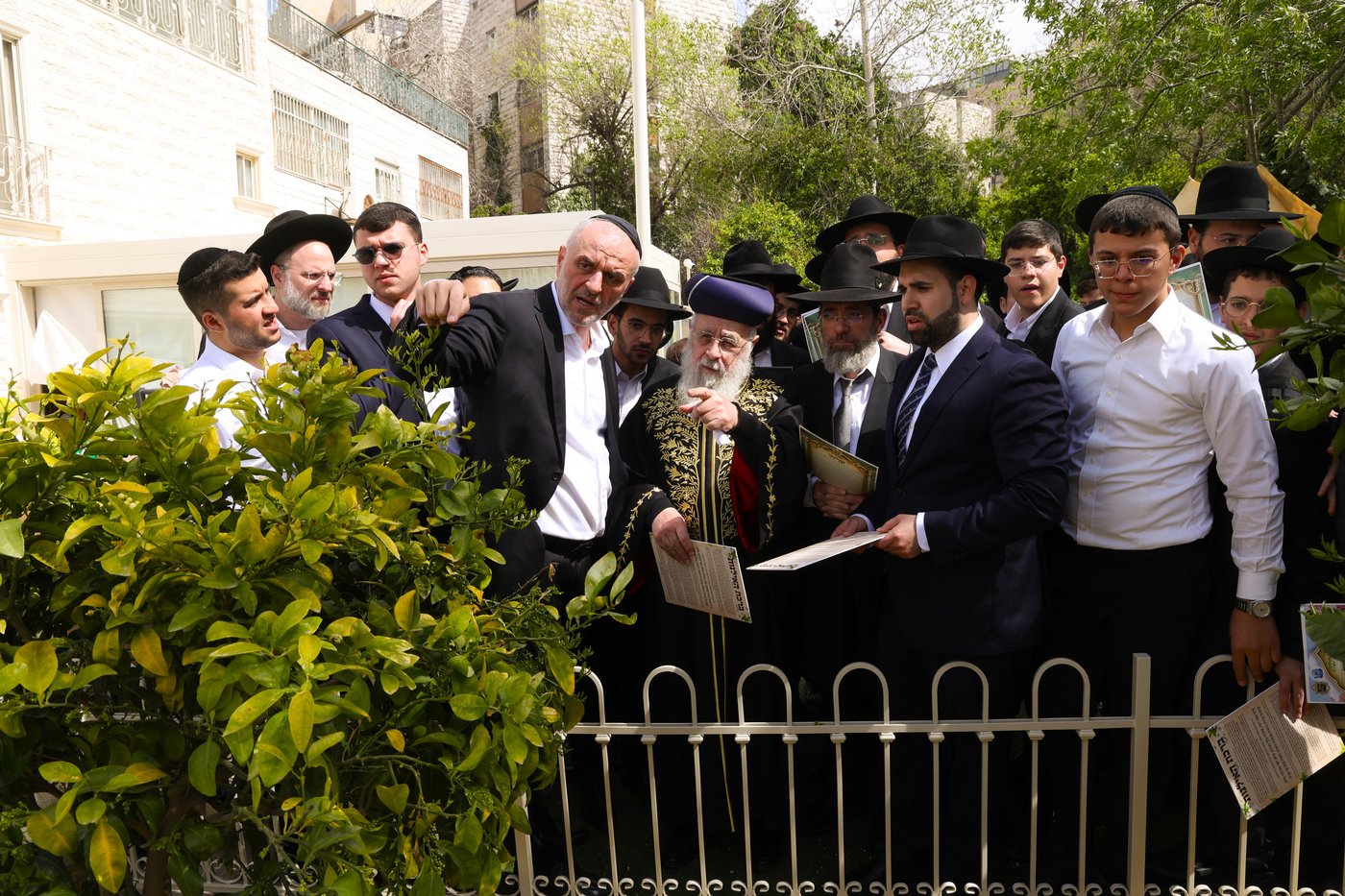 הראשל"צ הגר"י יוסף בברכת האילנות