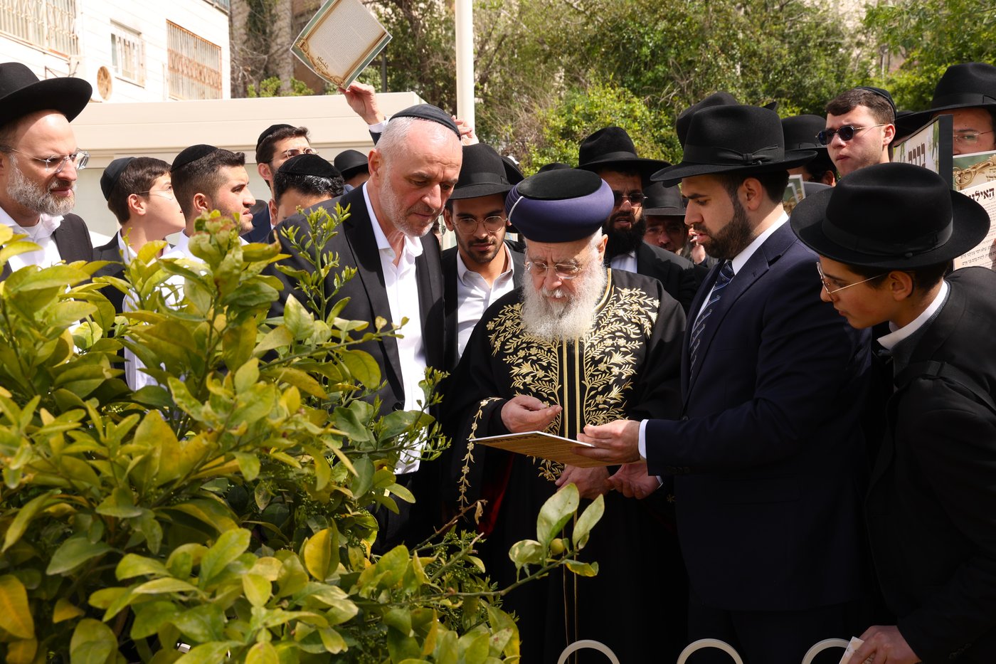 הראשל"צ הגר"י יוסף בברכת האילנות