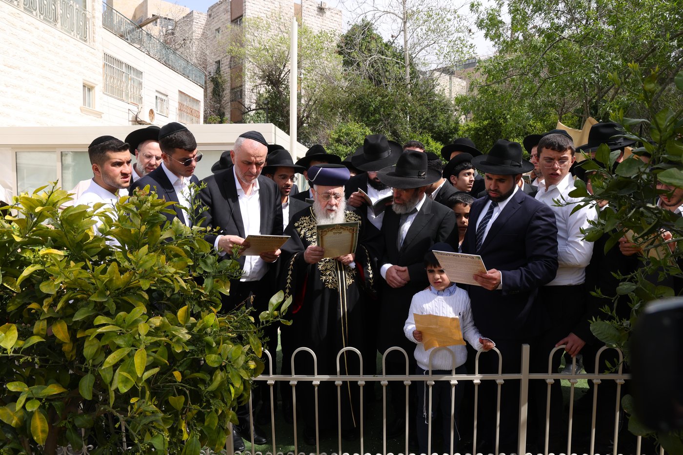 הראשל"צ הגר"י יוסף בברכת האילנות
