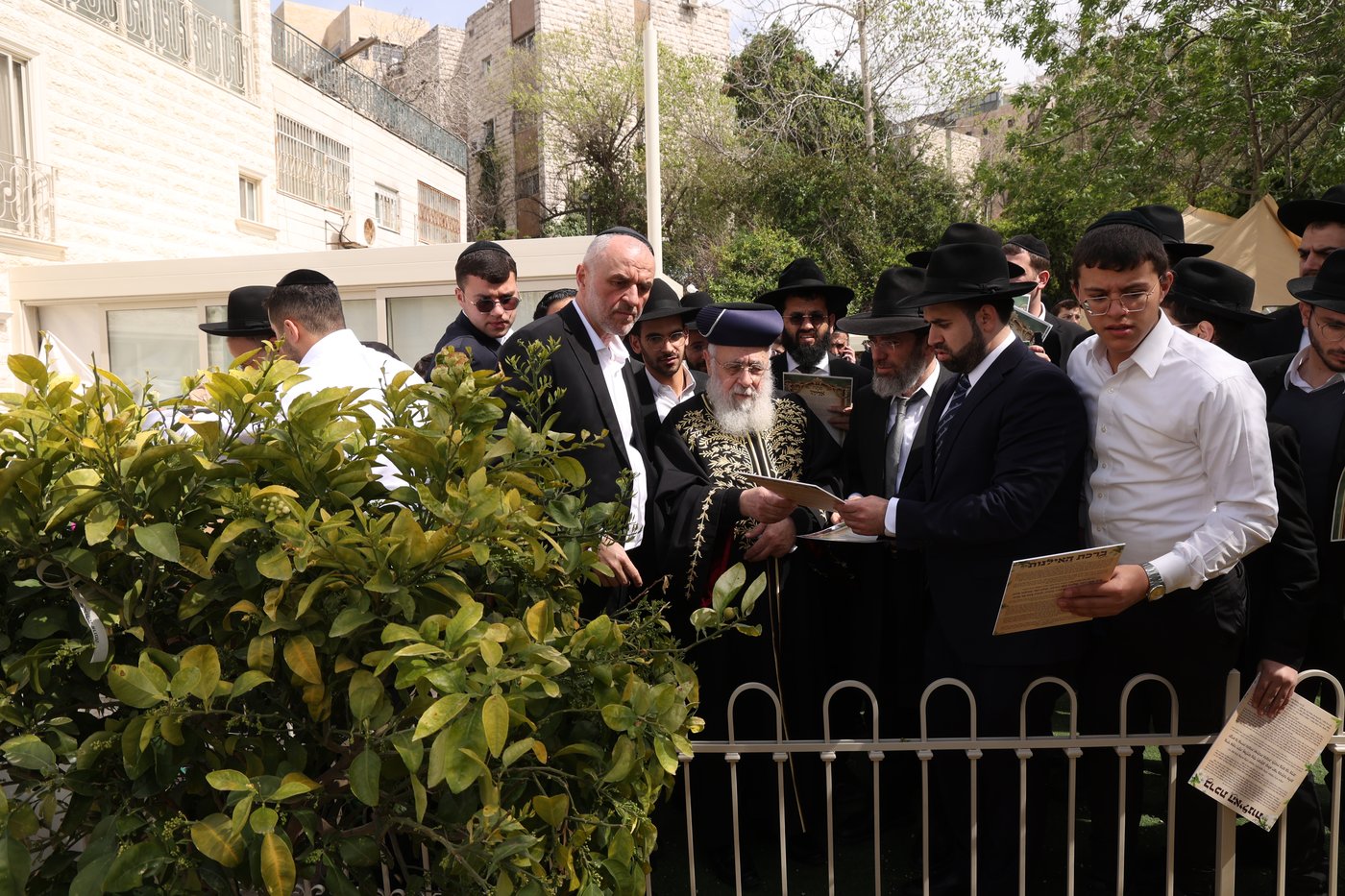 הראשל"צ הגר"י יוסף בברכת האילנות