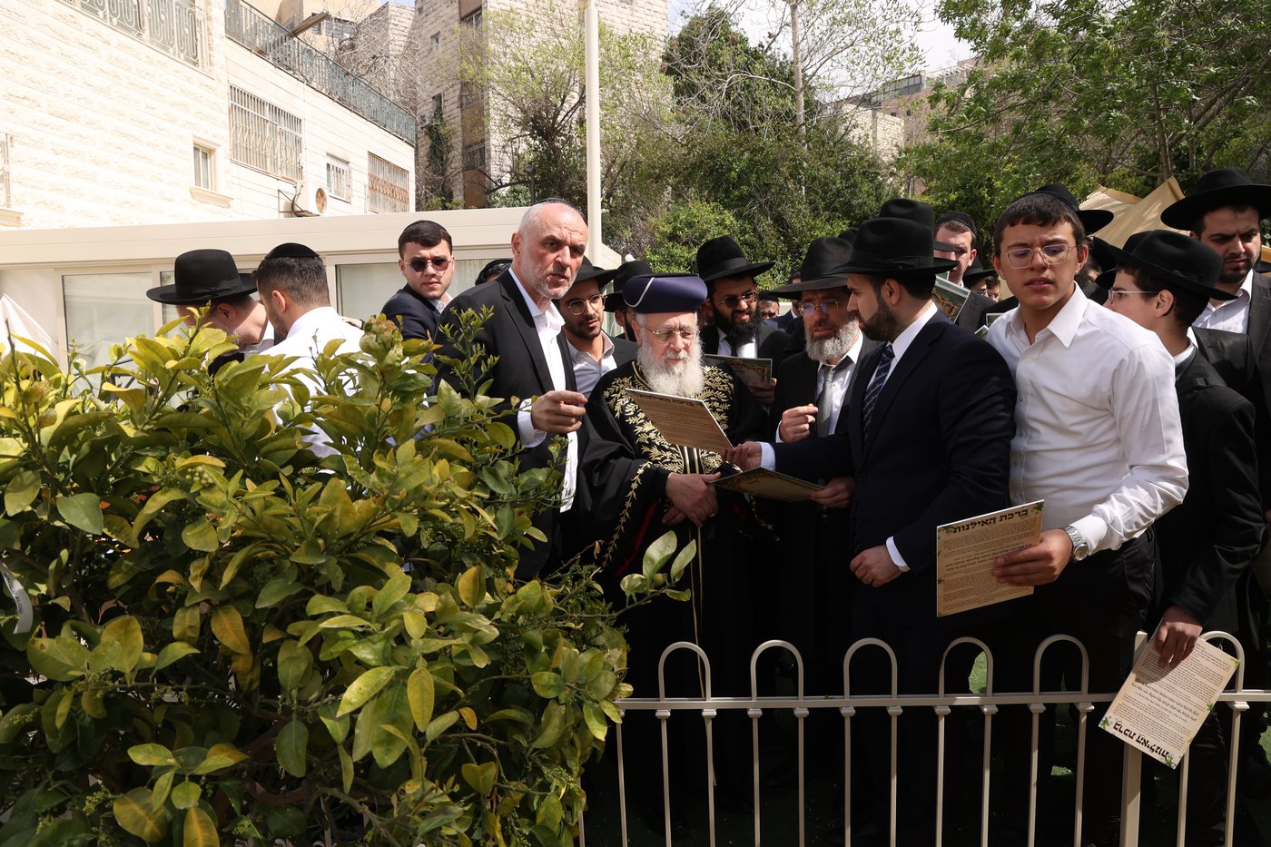 הראשל"צ הגר"י יוסף בברכת האילנות