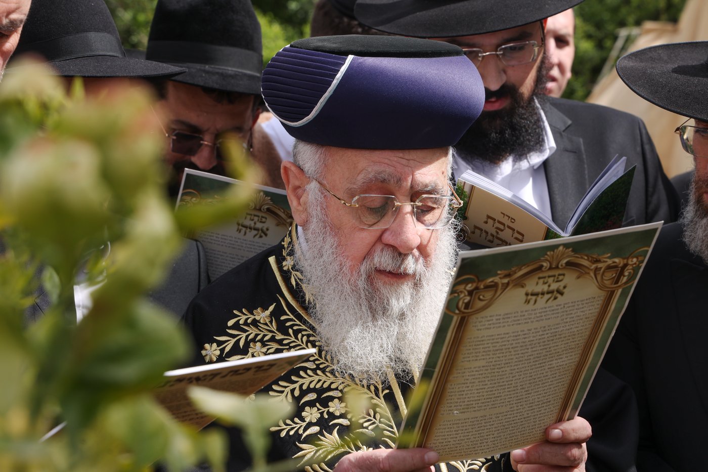 הראשל"צ הגר"י יוסף בברכת האילנות