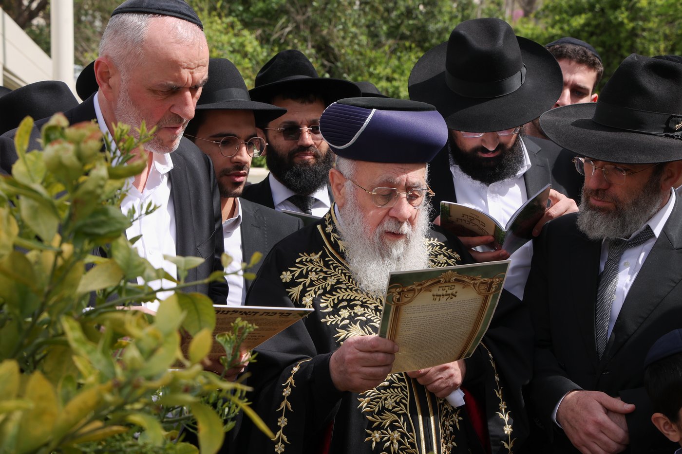 הראשל"צ הגר"י יוסף בברכת האילנות