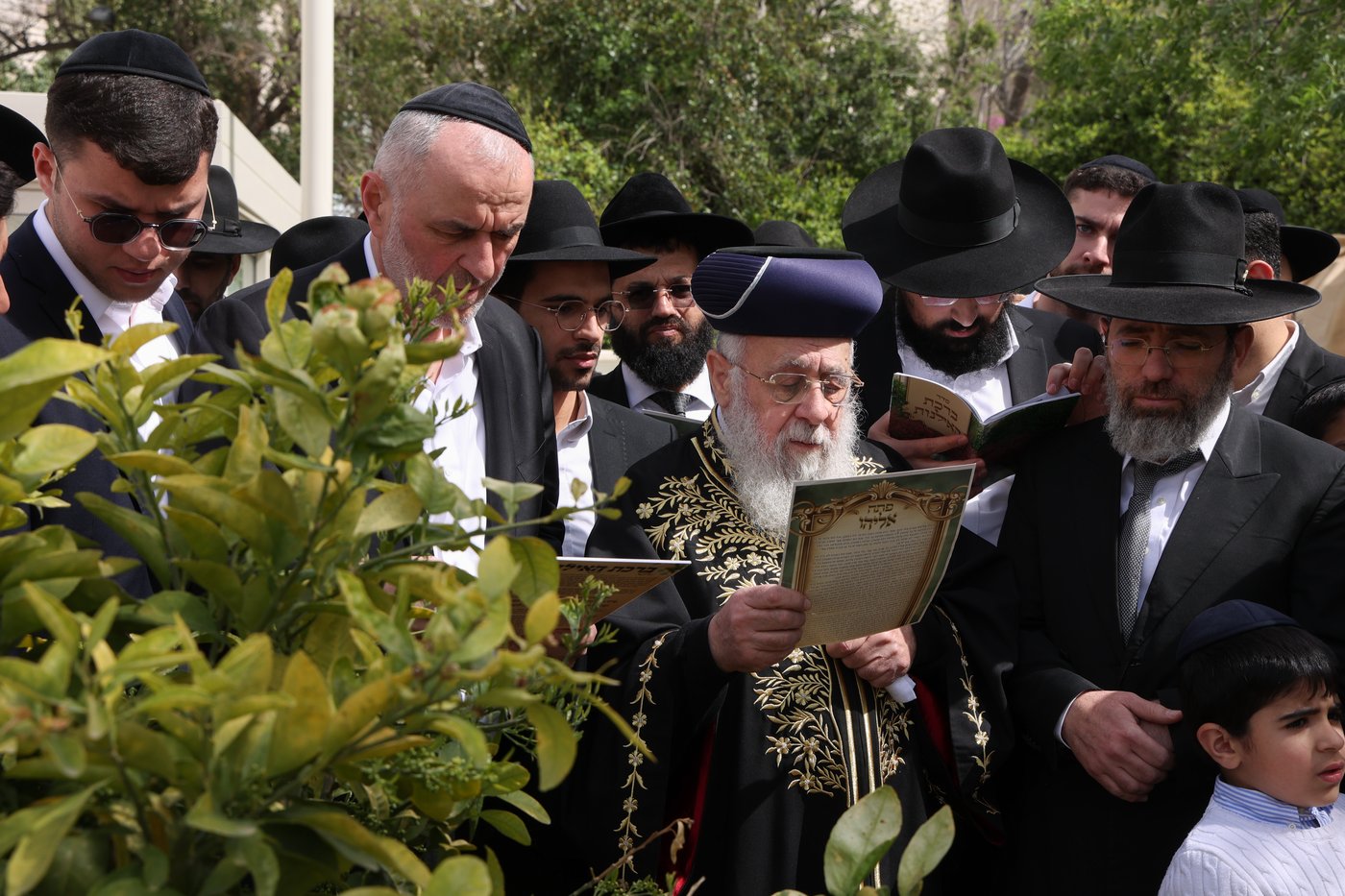 הראשל"צ הגר"י יוסף בברכת האילנות