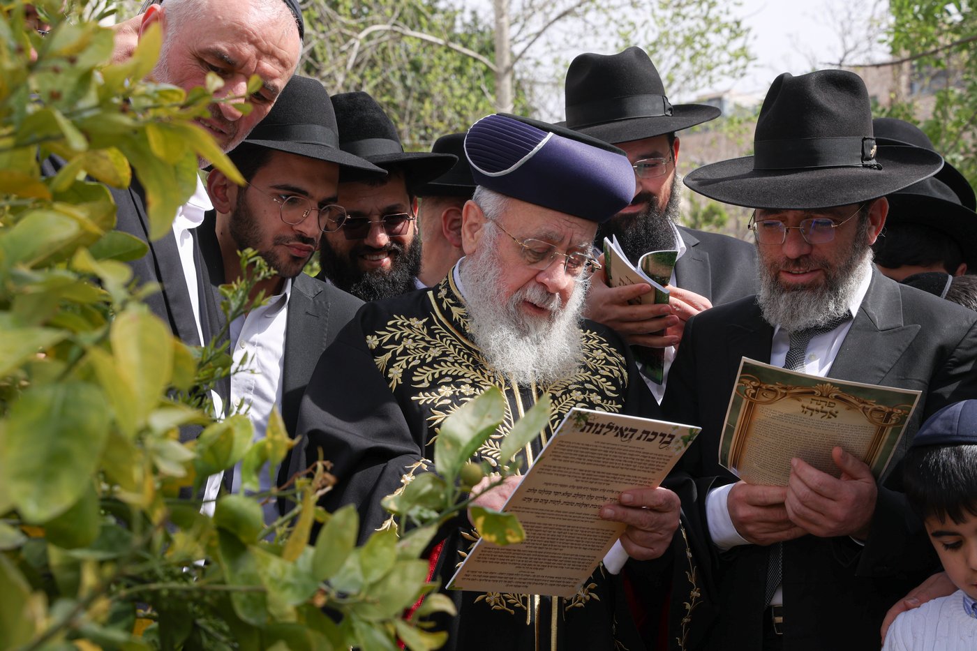 הראשל"צ הגר"י יוסף בברכת האילנות
